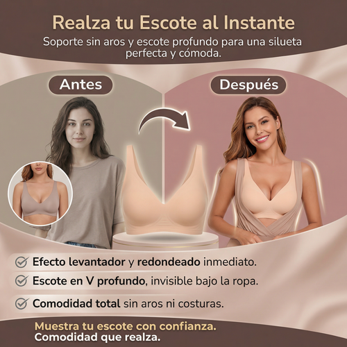 BRASIER SIN AROS